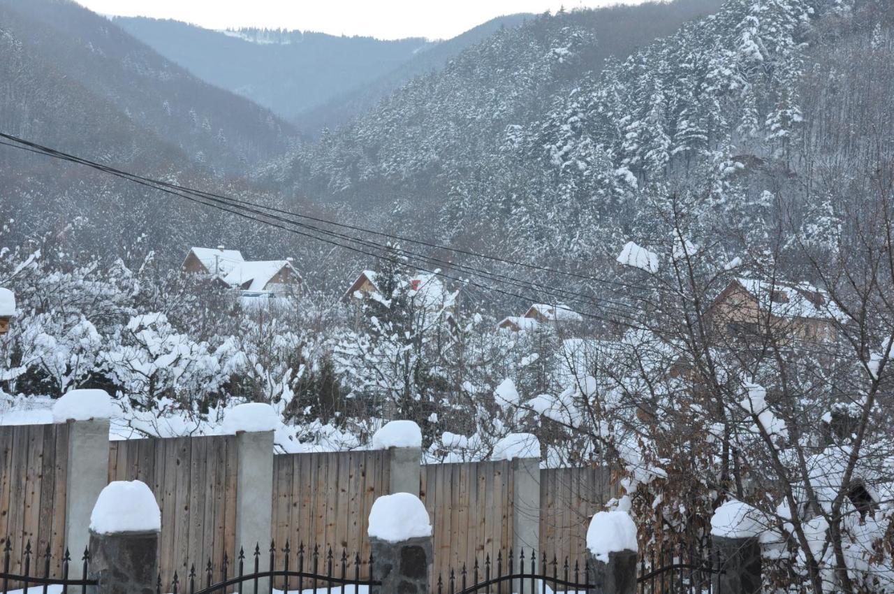 Casa De Vacanta Sadu Zewnętrze zdjęcie