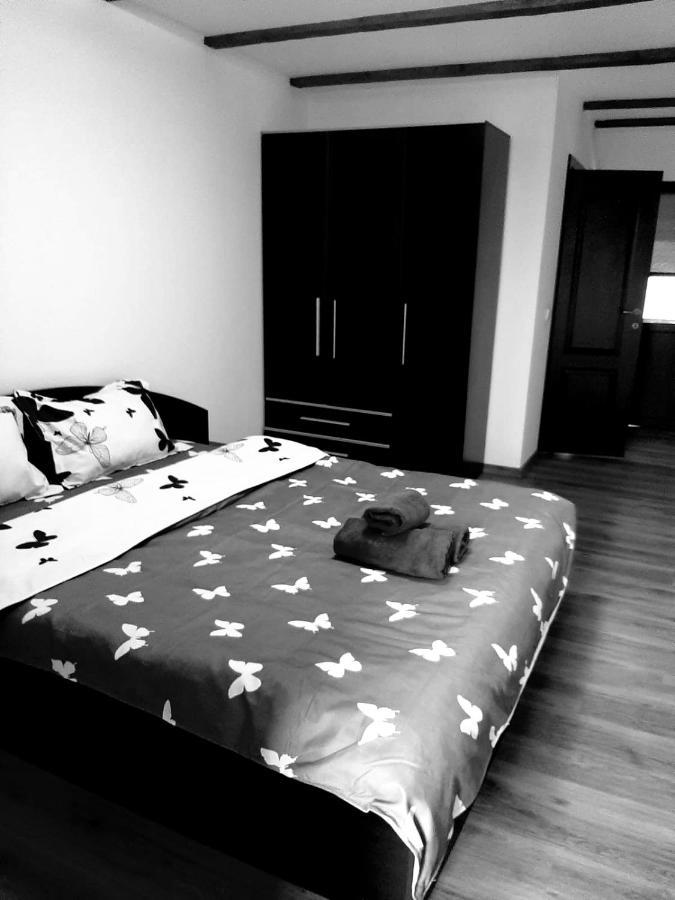 Casa De Vacanta Sadu Zewnętrze zdjęcie