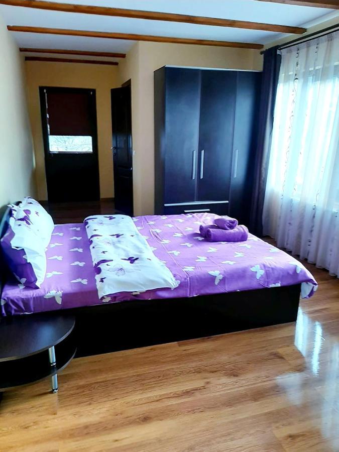 Casa De Vacanta Sadu Zewnętrze zdjęcie